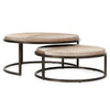Hayword - Hide Nesting Coffee Tables (Set of 2), product view with metal