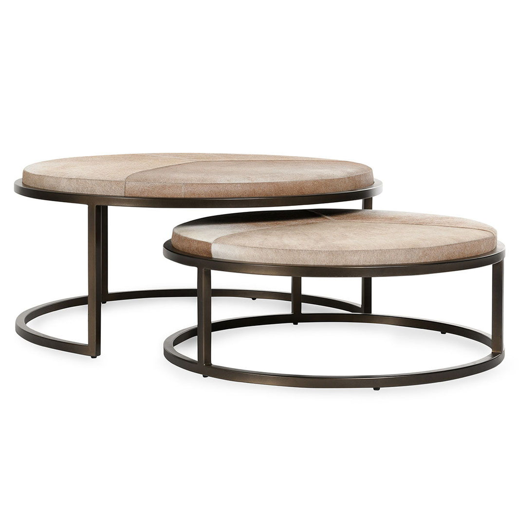 Hayword - Hide Nesting Coffee Tables (Set of 2), product view with metal