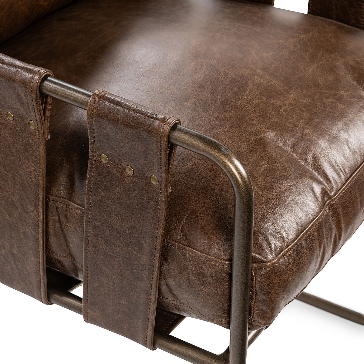 Strapling - Leather Dining Chair, alternate view 4 with top-grain leather