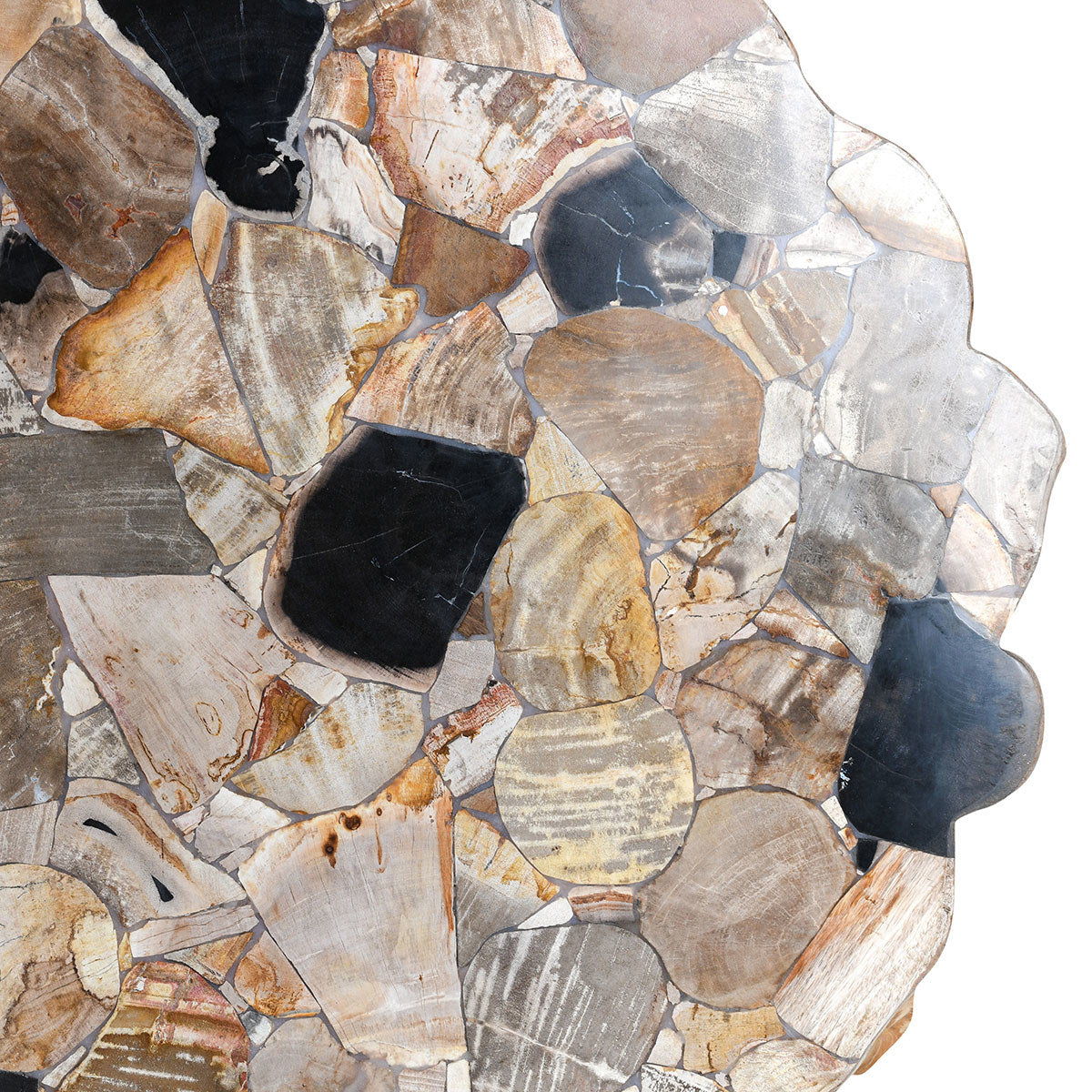 Norwest - Petrified Wood Coffee Table - Natural, alternate view 2 with stone