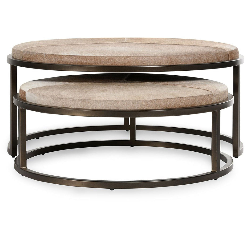 Hayword - Hide Nesting Coffee Tables (Set of 2), alternate view 2 with metal