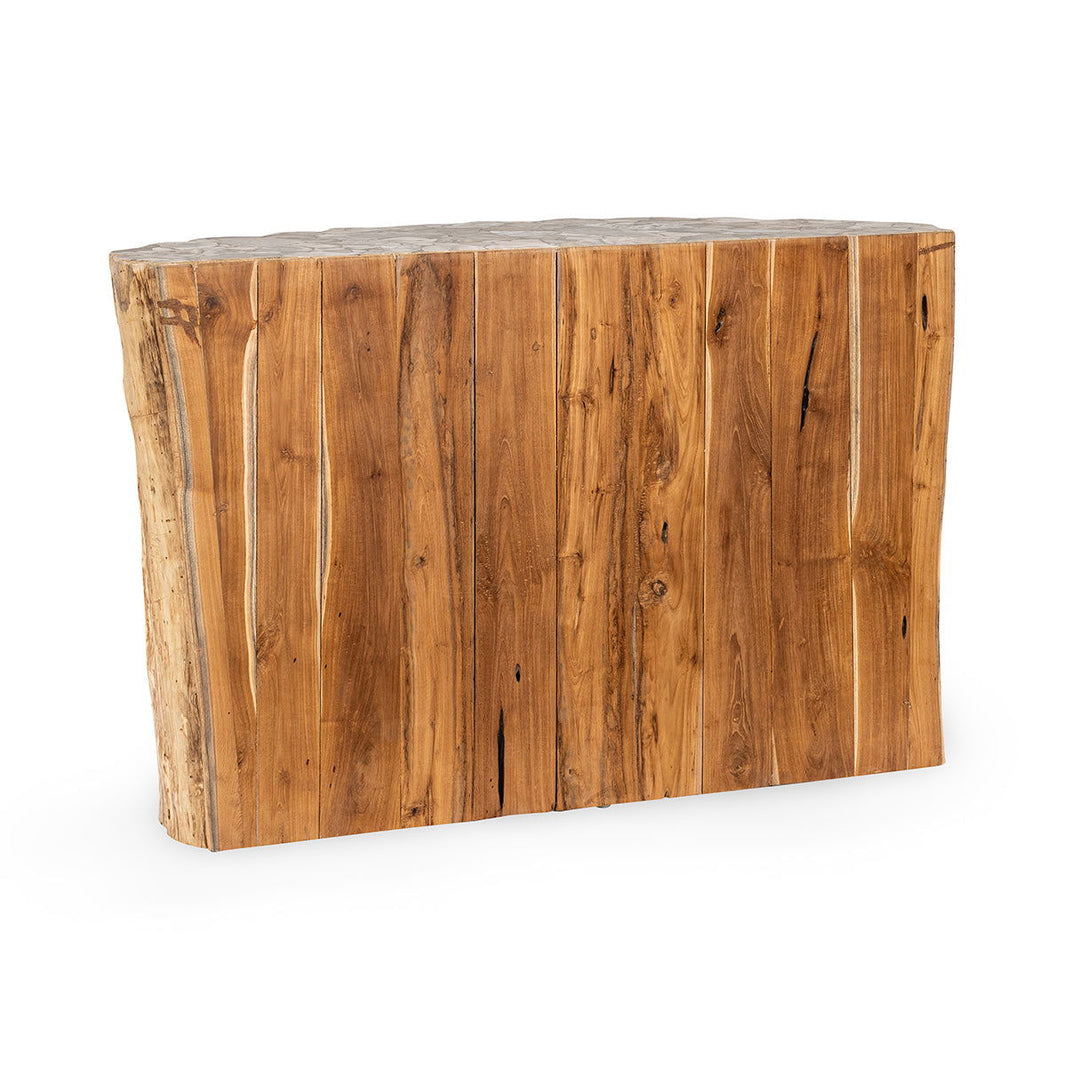 Norwest Petrified - Wood Console Table - Natural, alternate view 2 with resin