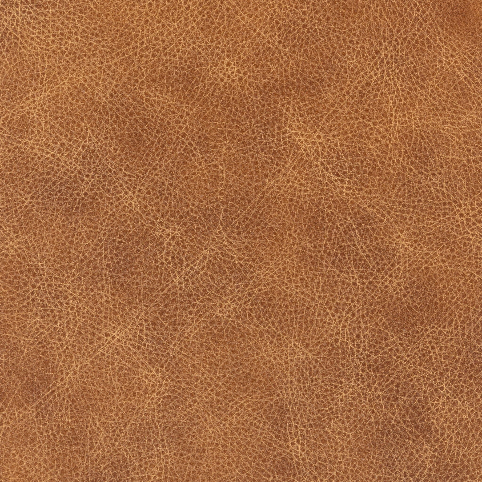 Cassiano - Swivel Chair, alternate view 34 with leather upholstery