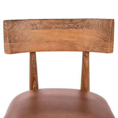 Alvaro - Leather Dining Chair (Set of 2) - Golden Wheat, alternate view 5 with top-grain leather