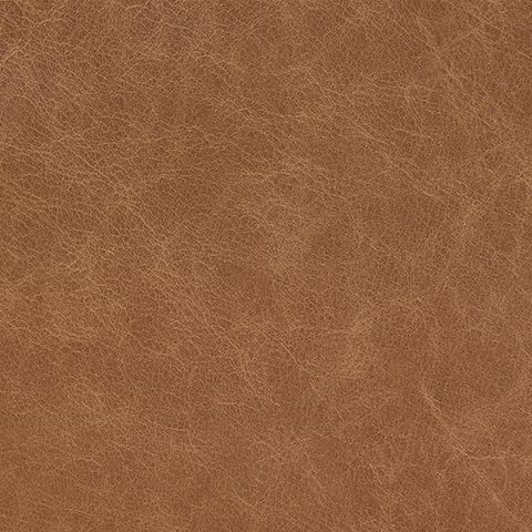 Garronmont - Accent Chair - Caramel, alternate view 5 with top-grain leather