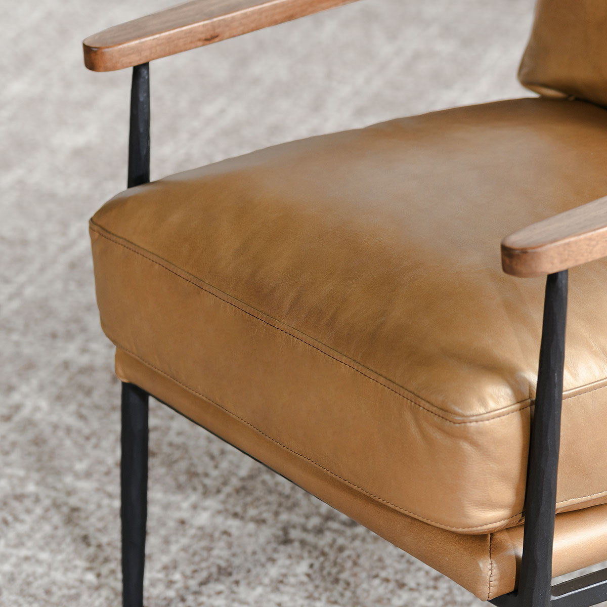 Christopher - Club Chair, alternate view 8 with top-grain leather