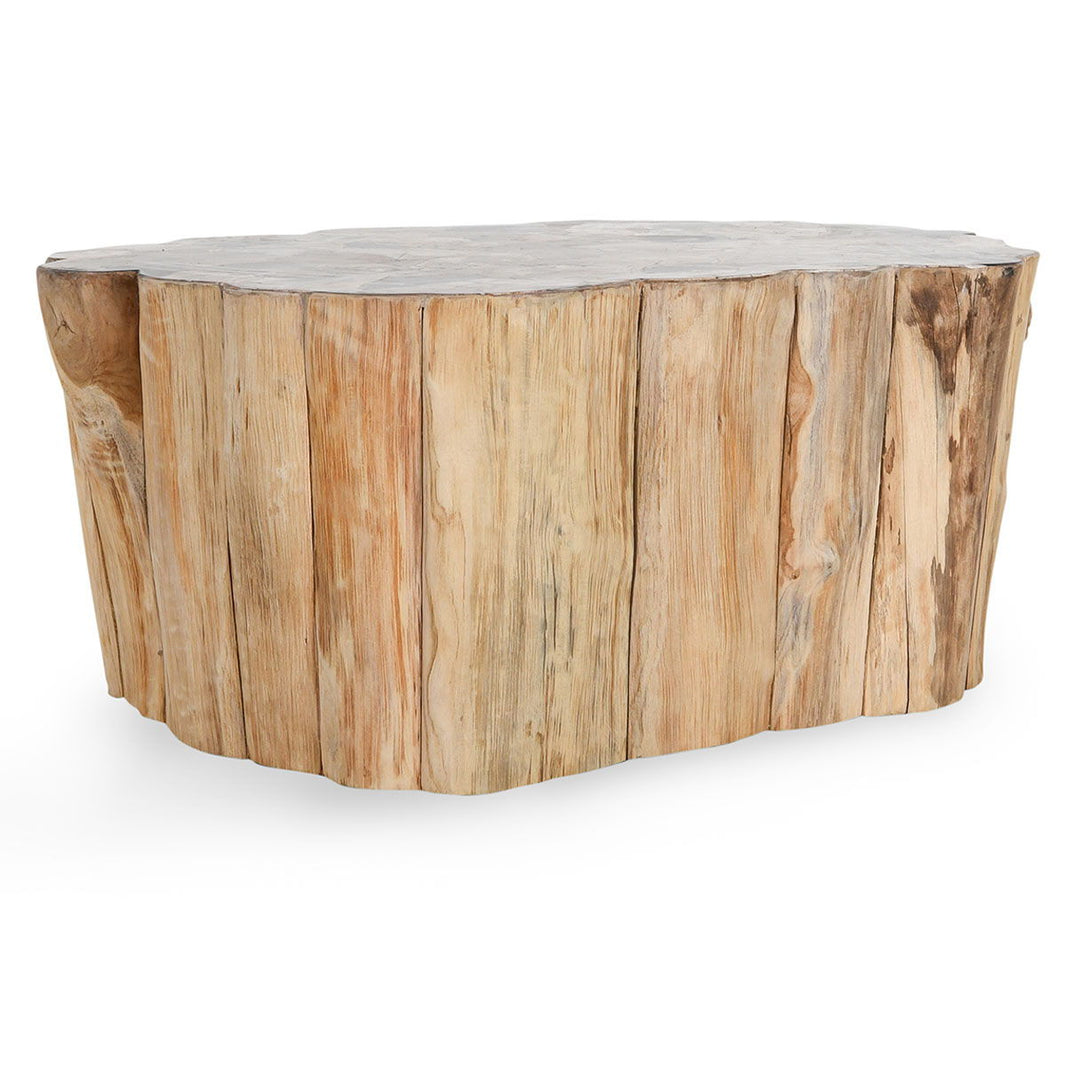 Norwest - Petrified Wood Coffee Table - Natural, product view with stone