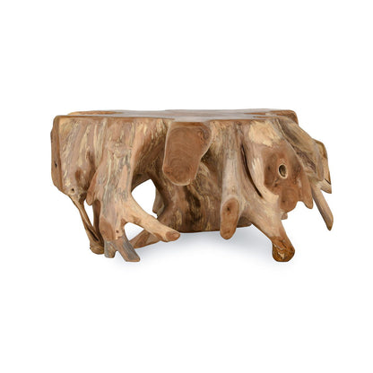 Cypress - Teak Root Coffee Table