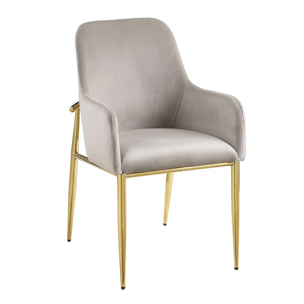 Barnard - Side Chair (Set of 2) - Gray Velvet & Mirrored Gold, product view