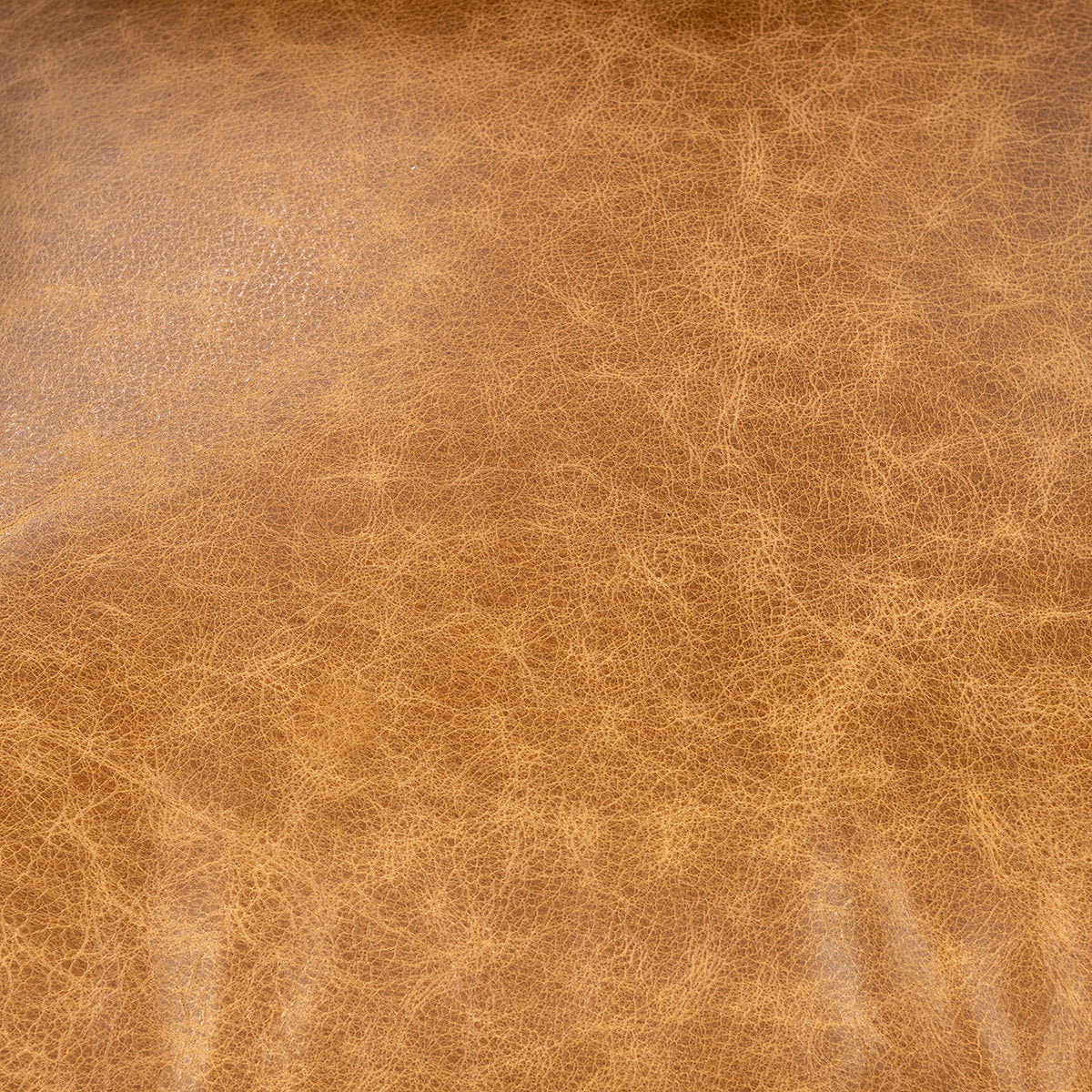 Strapling - Leather Dining Chair, alternate view 17 with top-grain leather