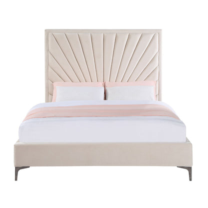 Faiz - Bed