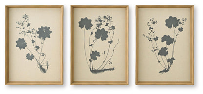 Huddwick Wall Art Set (Set of 3) Linen / Black