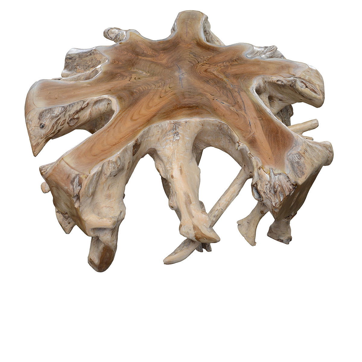 Cypress - Root Coffee Table - Natural White Wash, alternate view 4