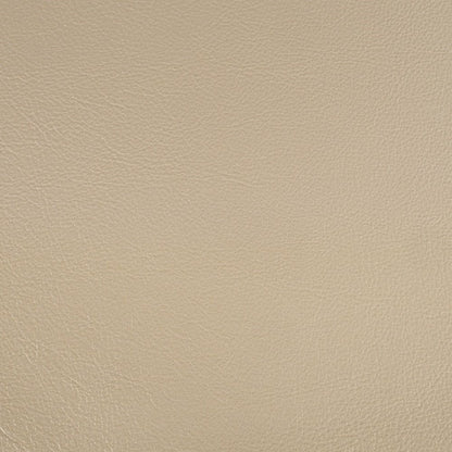 Danae - Arm Chair (Set of 2) - Synthetic Leather , Champagne & Gold