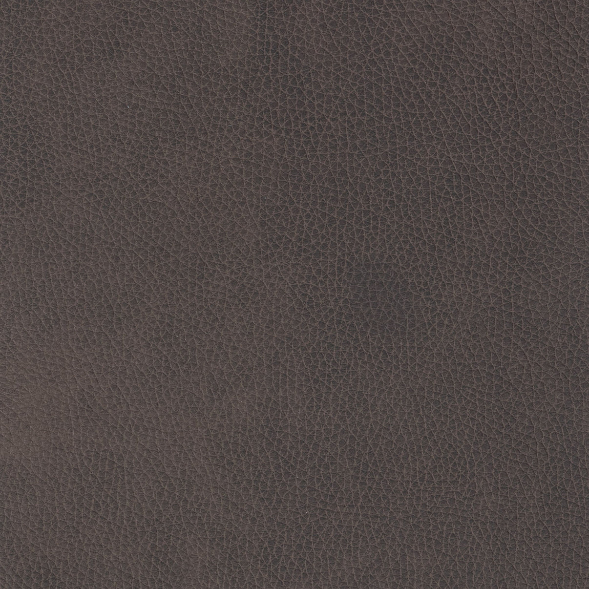 Cassiano - Swivel Chair, alternate view 47 with leather upholstery