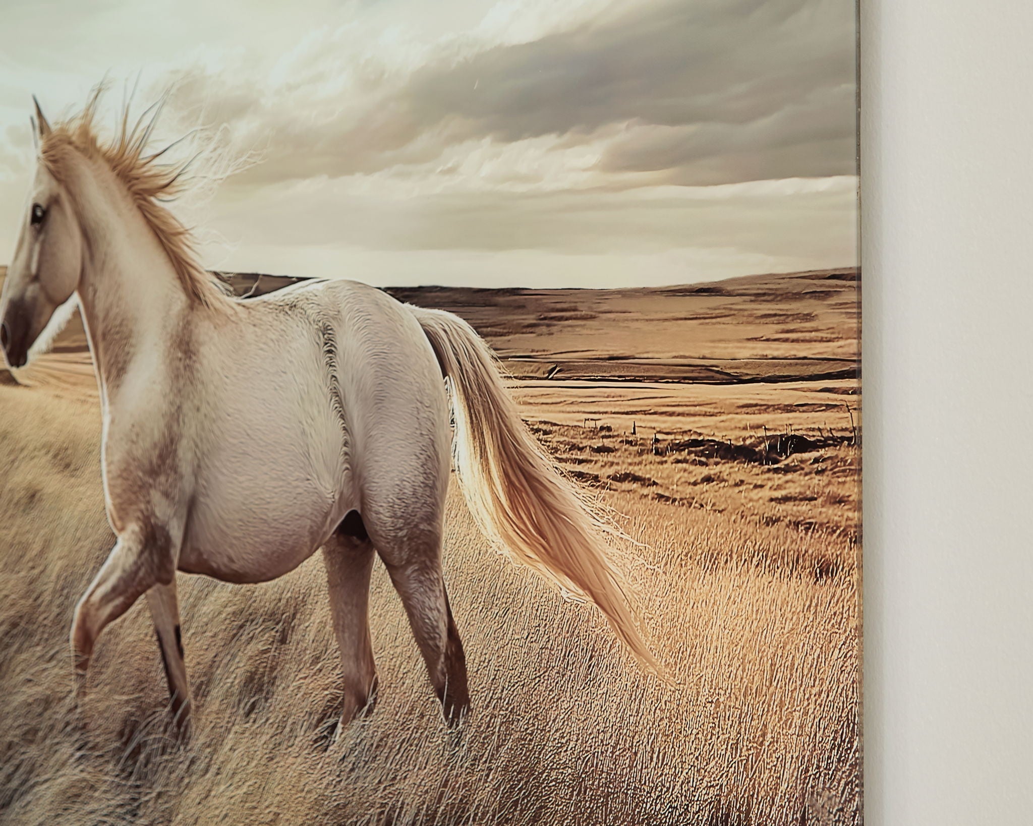 Errolville - Wall Art - Multi - Signature Design by Ashley® - 3