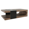 Danica - Coffee Table, product view with wood construction